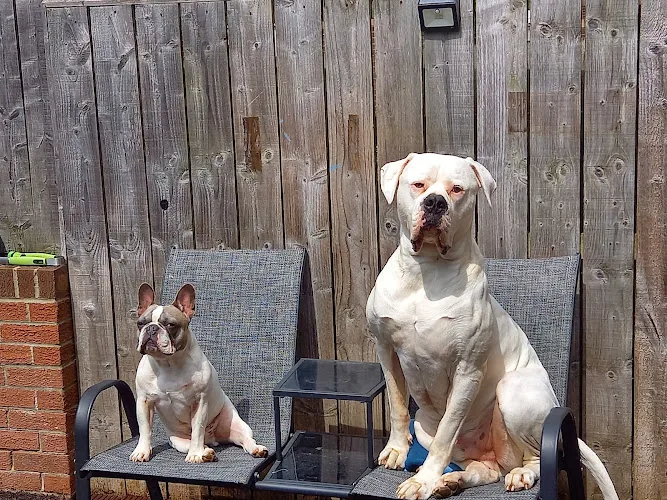 Ferry Farm Boarding Kennels & Cattery